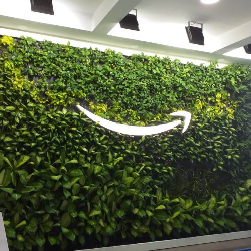 Amazon i