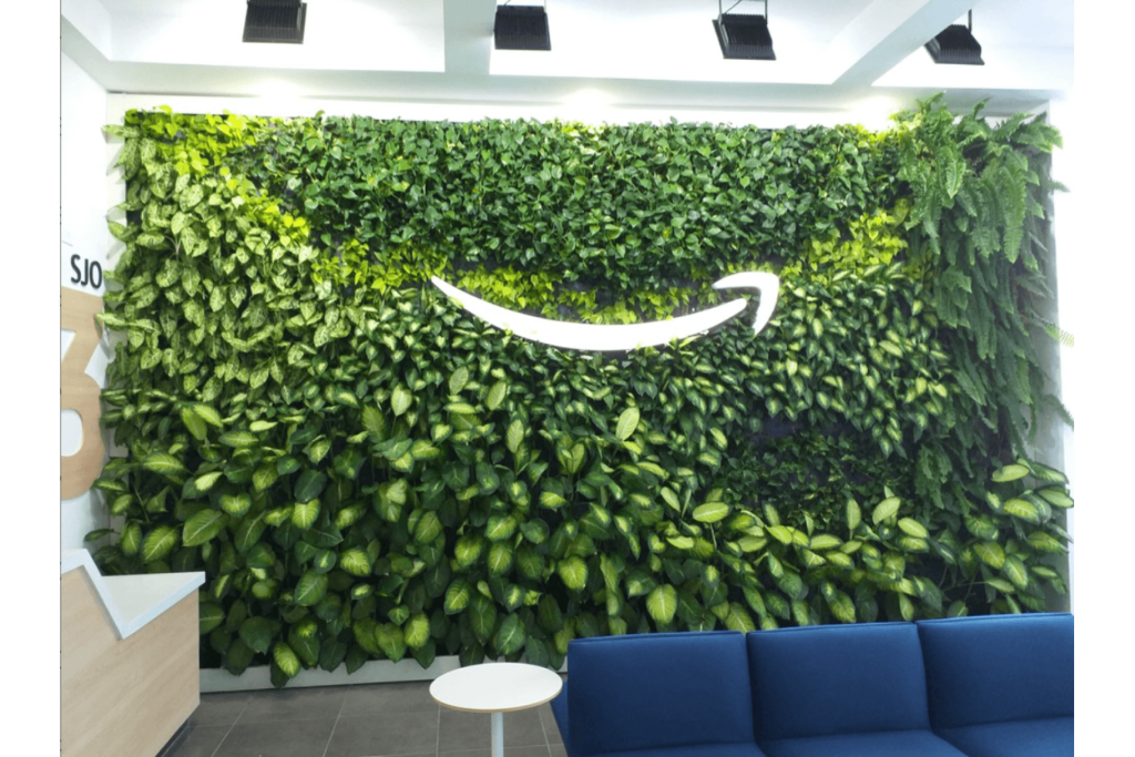 Amazon I