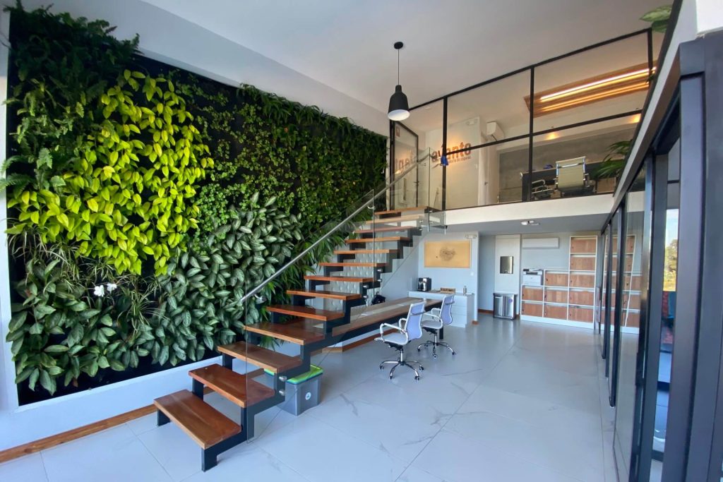 Tipos de jardines verticales