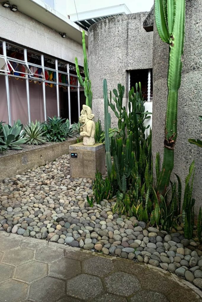 Jardín de Xerofilas IICA 2