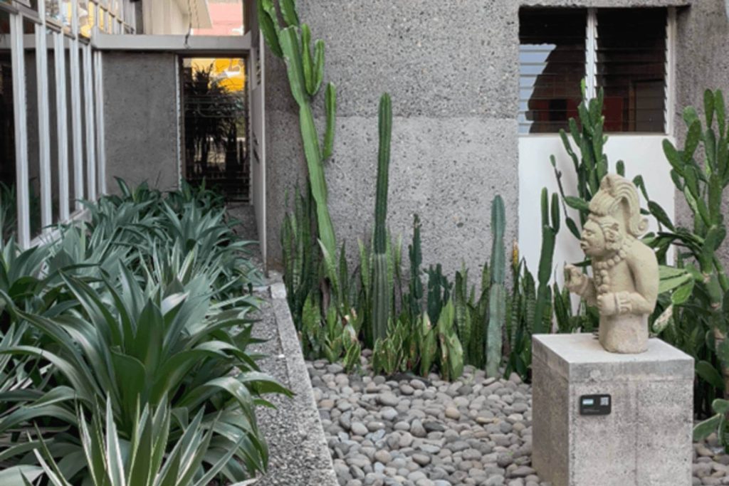 Jardin de xerofilas iica cuadrada