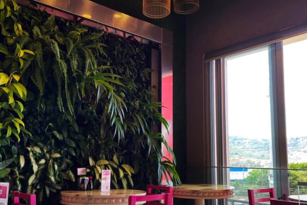 Nacion sushi pinares