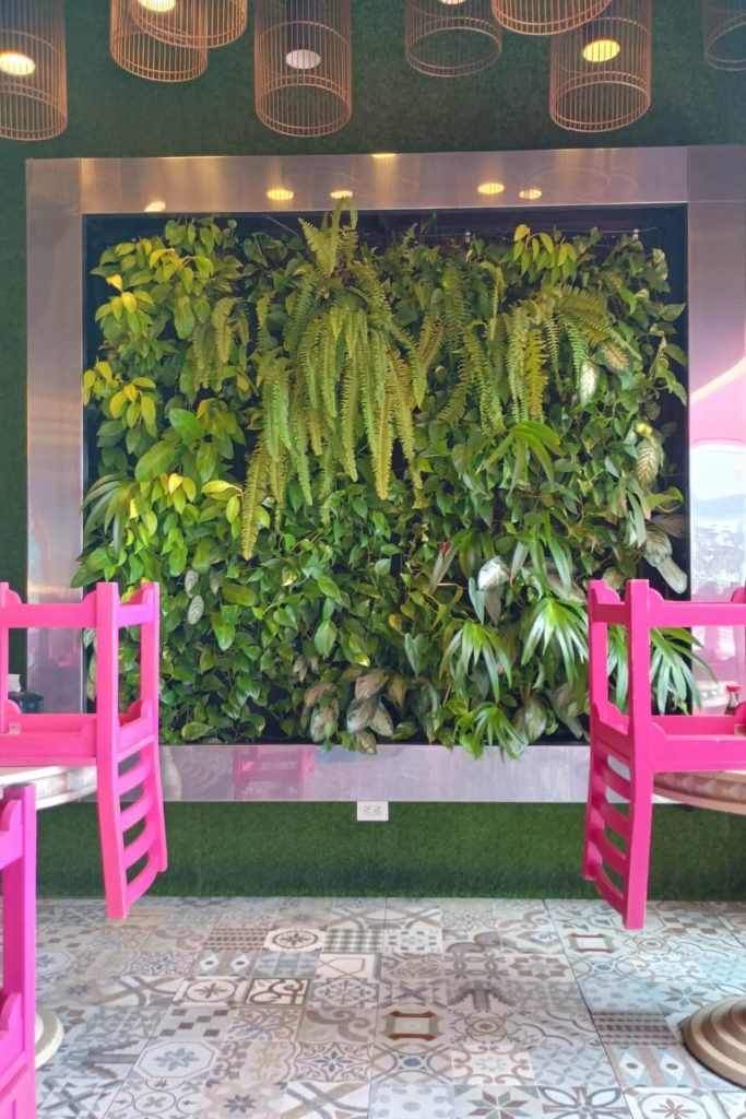 Nación Sushi Pinares