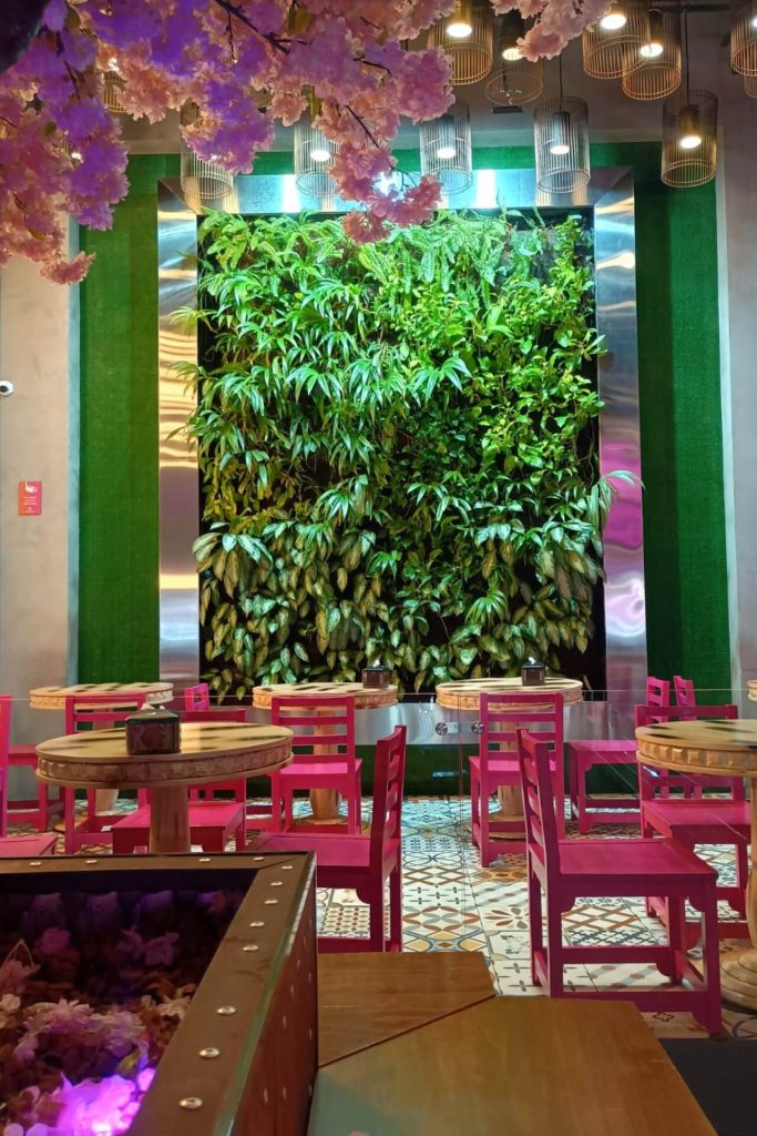 Nación Sushi Plaza Bratsi