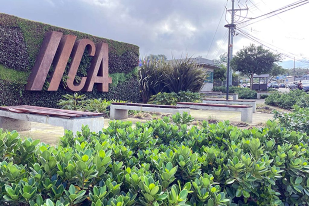 Plaza de la agricultura de las Americas 1