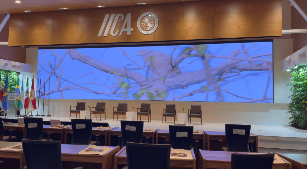 Sala Estados Unidos IICA