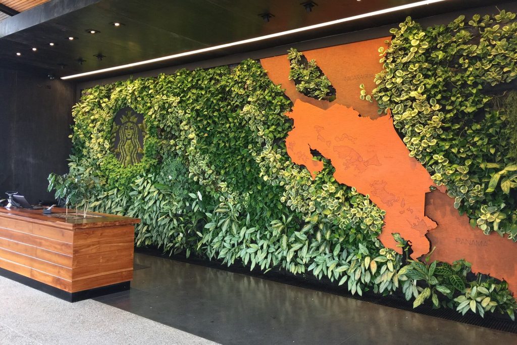 Starbucks 1