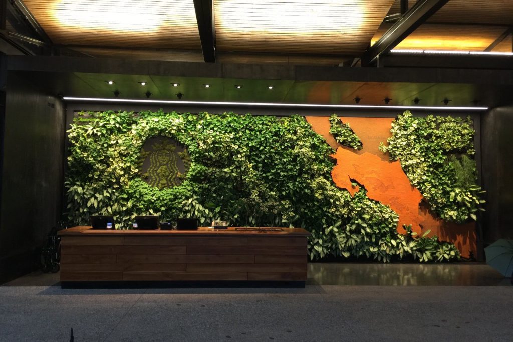 Proyecto destacado starbucks